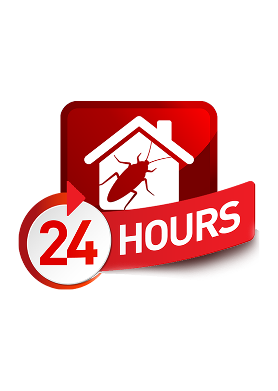 24 hour pest control