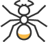 cape coral ants