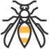 cape coral wasps